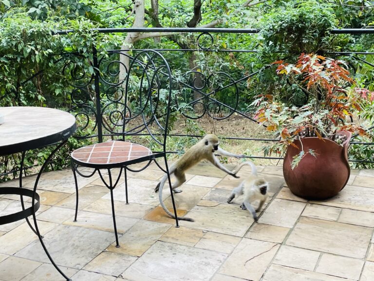 Arusha - Rivertrees Country Inn