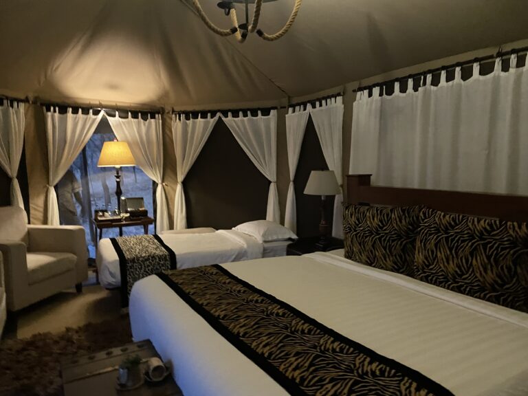 Camp in Serengeti National Park, Tanzania, African safari