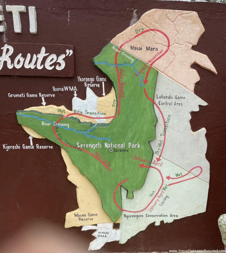 Migration route of the animals, Tanzania
