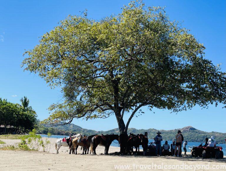 On our way to Playa Flamingo, Costa Rica