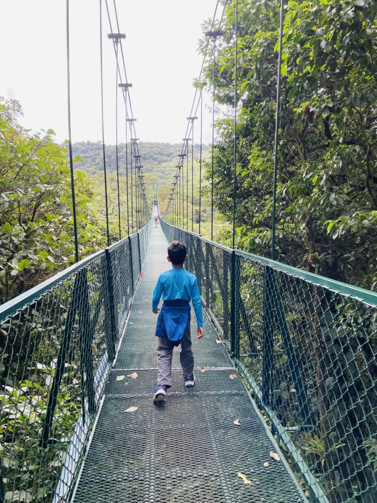 Hanging bridge