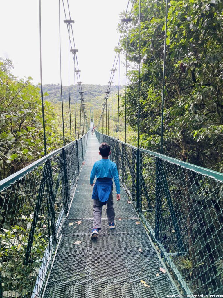 Hanging bridge, Selvatura Park, Bio diversity, Costa Rica