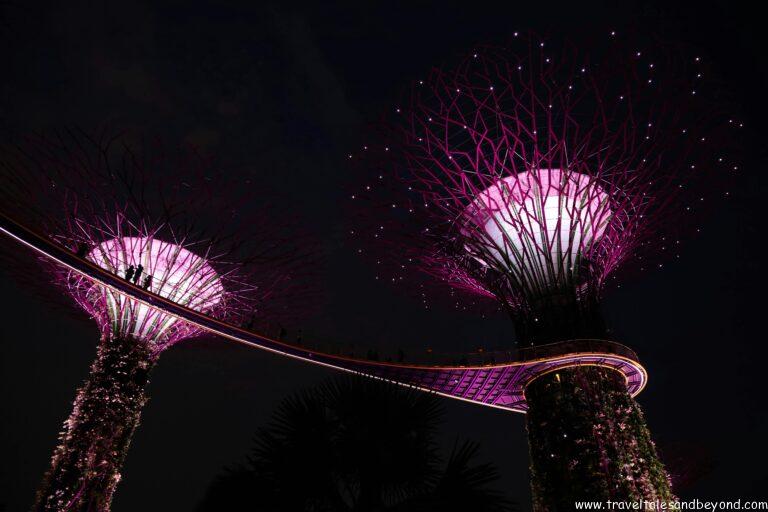 Gardens by the Bay Singapore lit up at night during layover