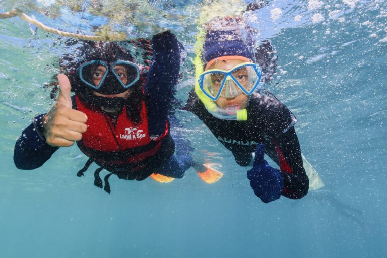 Snorkeling at Great Barrier Reef