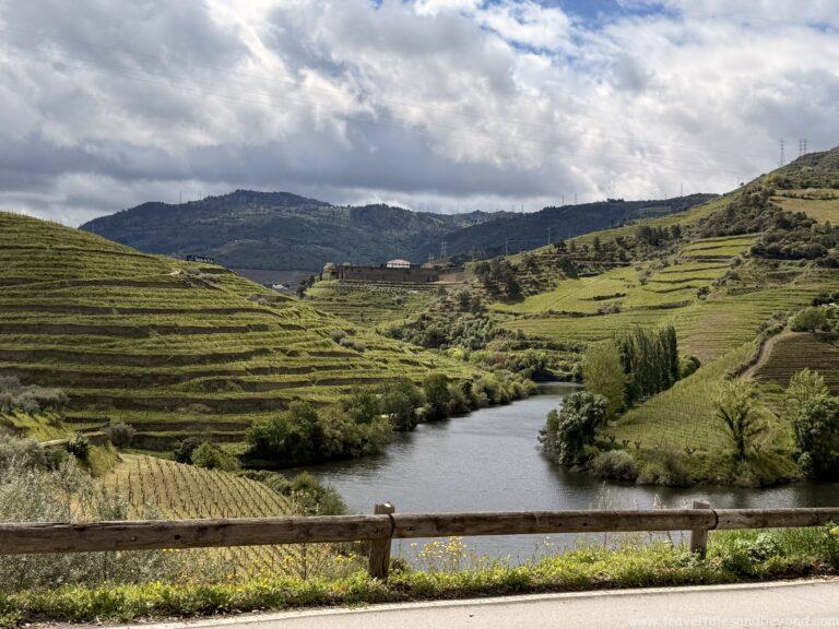Terraced vineyard slopes along the Douro Valley, Portugal in spring