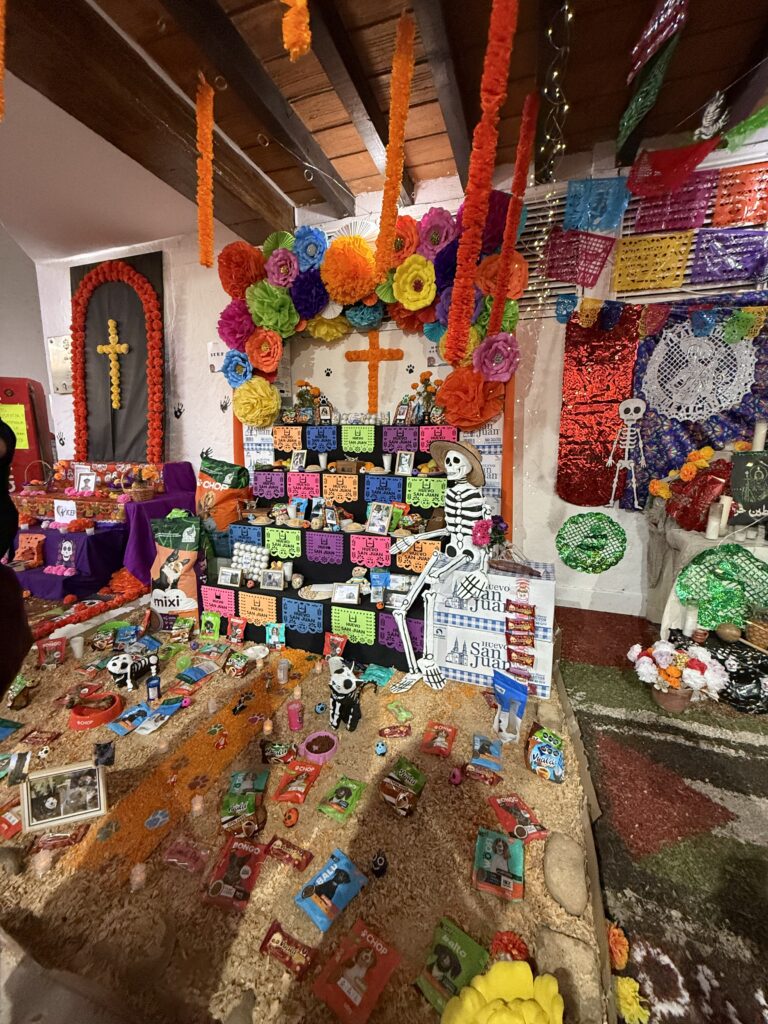 Traditional Día de los Muertos ofrenda altar with candles and marigolds
