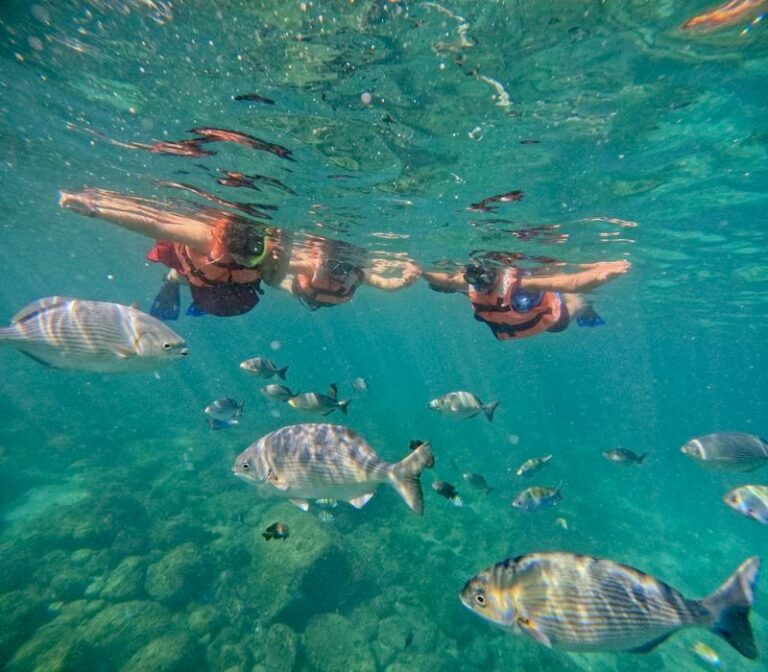 Snorkeling, Puerto Vallarta
