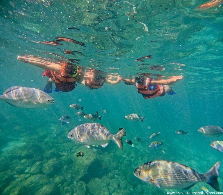 Snorkeling, Puerto Vallarta