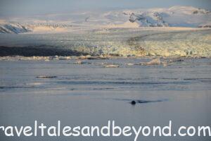 Jökulsárlón Glacier Lagoon, Iceland