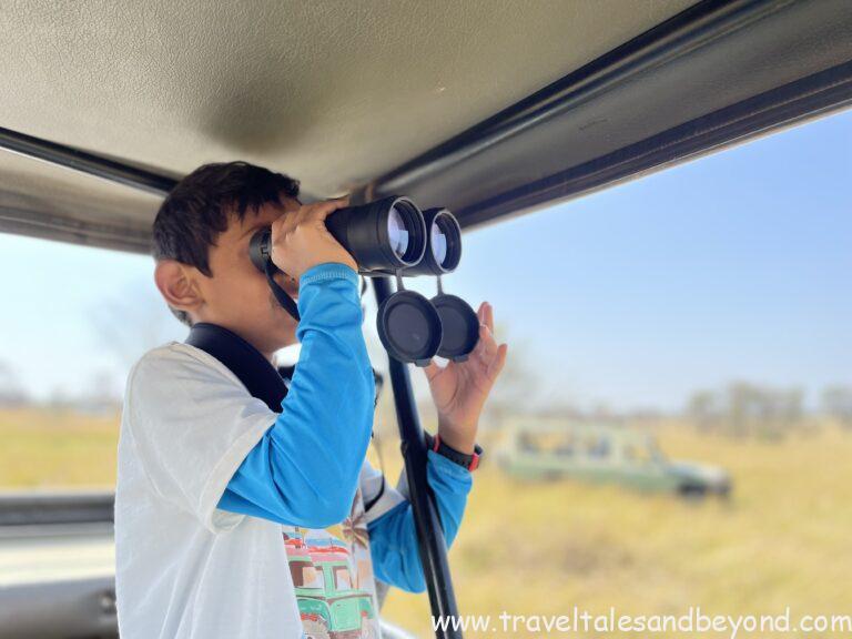 Wildlife watching