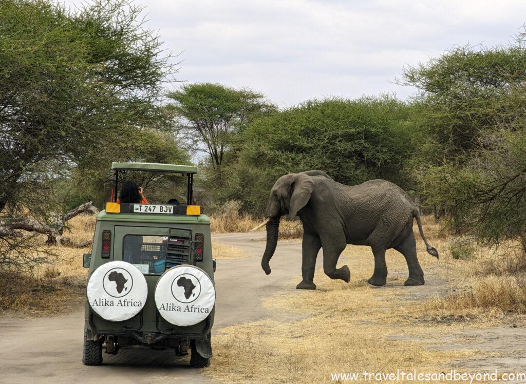 Family game drive in open-roof jeep through Tanzania national park during wildlife safari