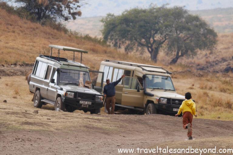 Safari landscape view — Ngorongoro Crater game drive