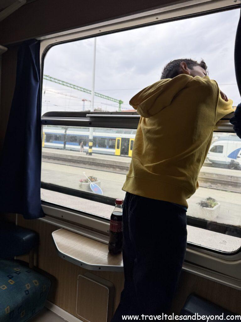 Inside the train cabin on the Budapest to Ljubljana route