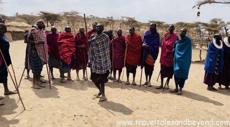 Maasai men performing the traditional jumping dance, adumu